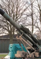 Bristolský bloodhound