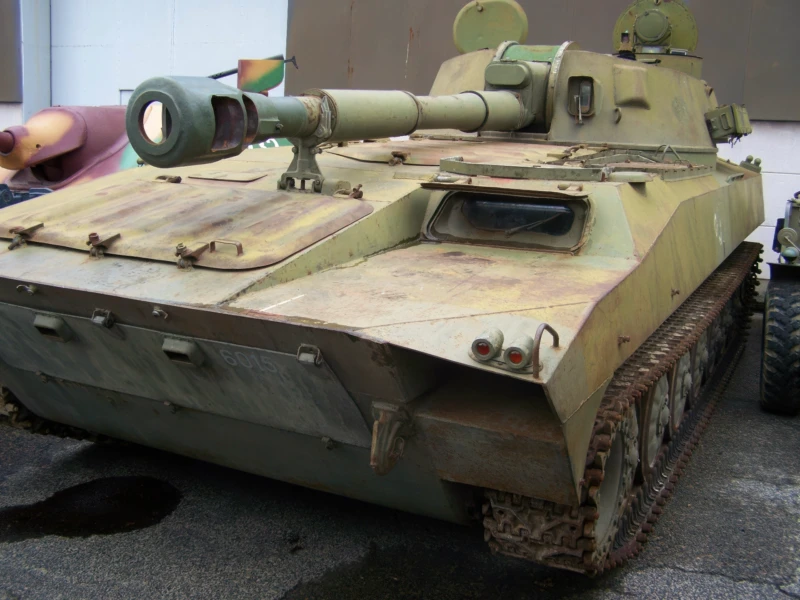 2С1 Гвоздика