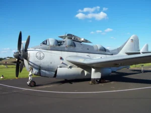 Gannet AS.4 - 写真&ビデオ