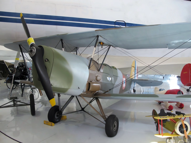 Stampe SV