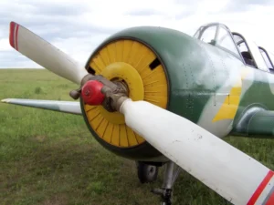 Yak-52 - 写真&ビデオ