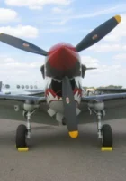 Curtiss P-40