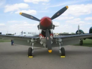 Curtiss P-40 Warhawk - WalkAround