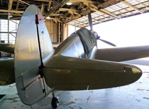 Curtiss P-40 Warhawk - WalkAround