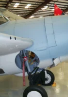 FM-1 Αγριόγατα