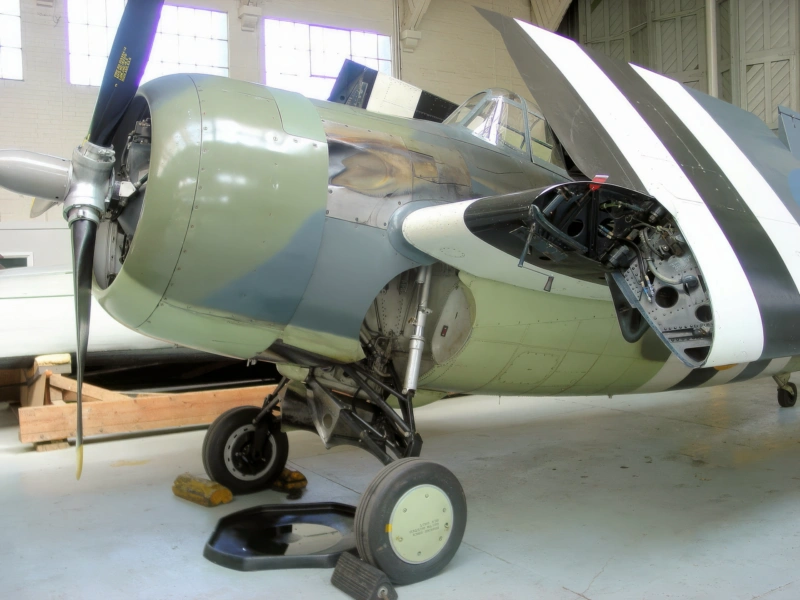 Grumman FM-2 villikissa