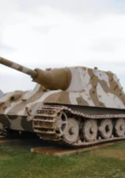 ジャグタイガー