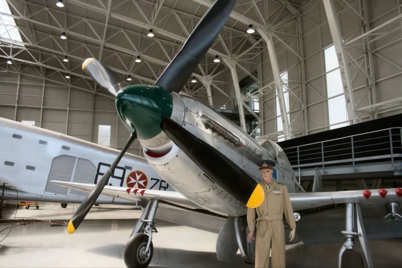 P-51D-25-NA Mustang 09