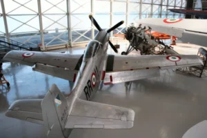 P-51D-25-NA Mustang - Walk Around