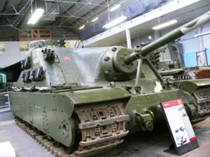 A39 Tortoise - WalkAround