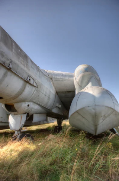 Bartini Beriev VVA-14 8