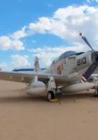 Daglas EA-1F Skyraider