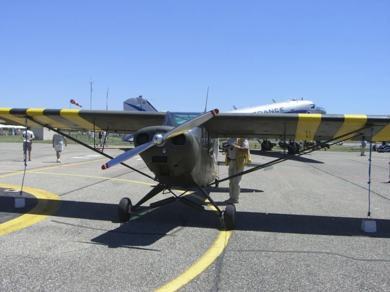 Piper PA-18 Super Cub 02