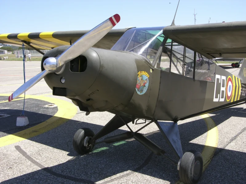 Piper PA-18 Super Cub 03