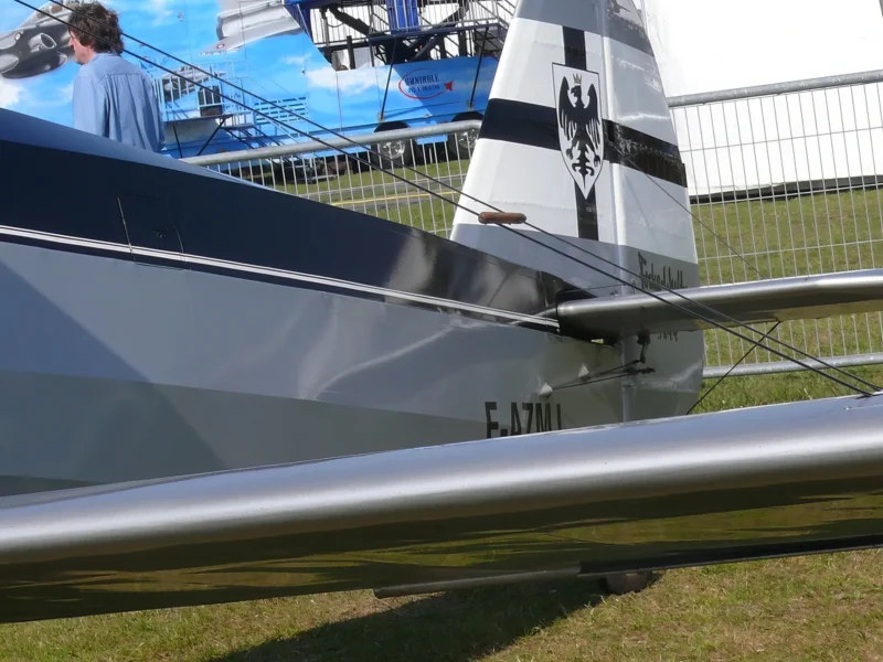 Focke-Wulf Fw 44 Stieglitz 01