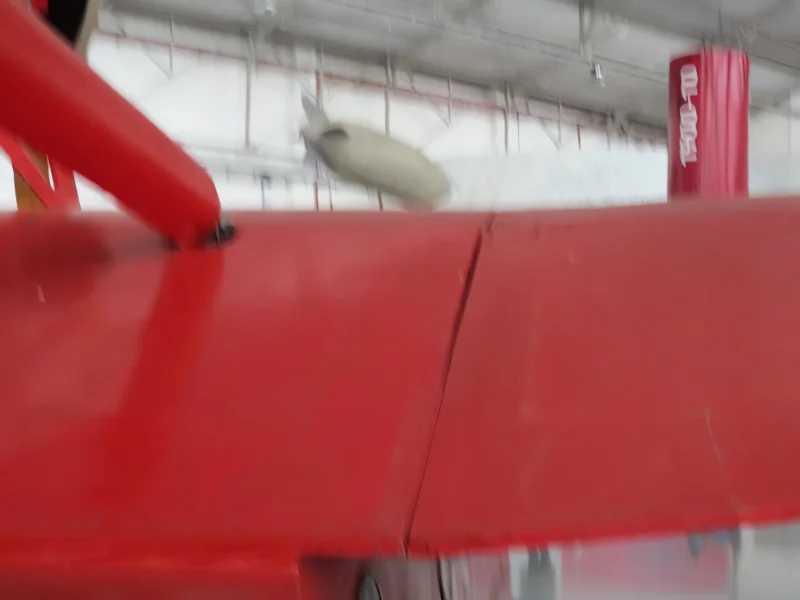 Savoia Marchetti S.55 01