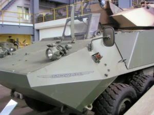 Piranha 10x10 - Foto's & Video