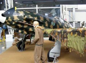 Macchi MC-202 - WalkAround